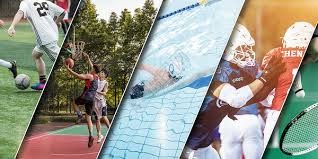 林安可赛季贡献评估