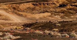 扑克中的选择艺术（扑克里的决策之道）