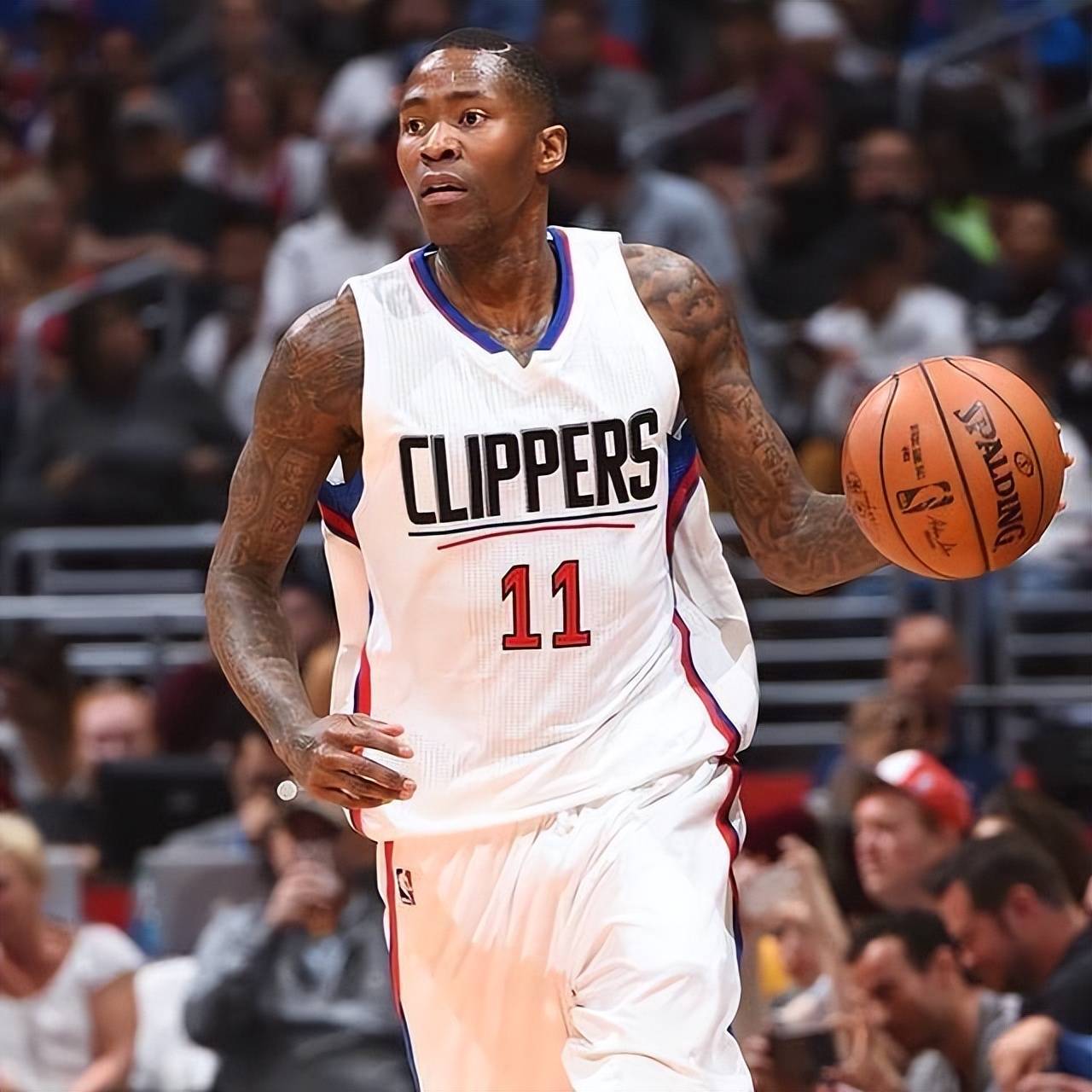 不仅成为年 不仅成为年